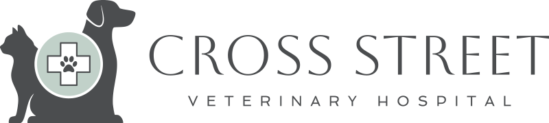 Cross Street Veterinary Hospital logo