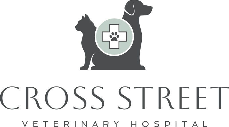 Cross Street Veterinary Hospital logo