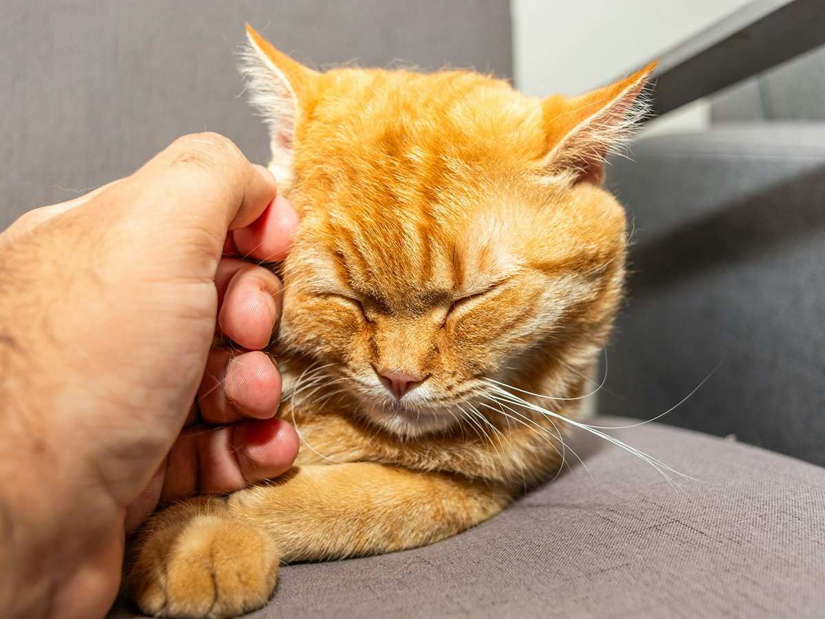 man rubbing hand on face