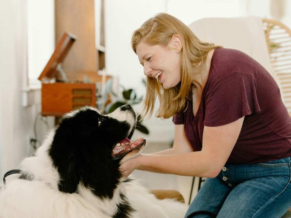 lady cuddling big dog lady cuddling big dog