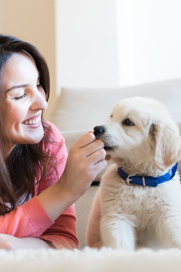 A person laying on the floor with their dog
